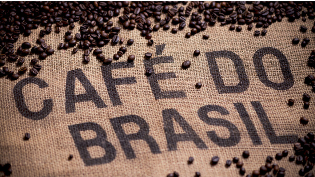 ブラジル：サンバとコーヒー農園 - 世界最大のコーヒー生産国の魅力